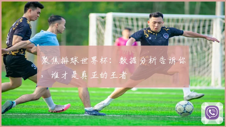 聚焦排球世界杯：数据分析告诉你，谁才是真正的王者